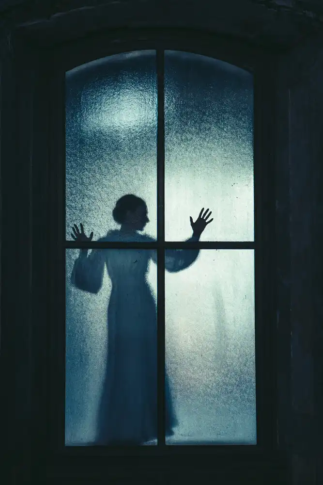 Russocka, Magdalena: La ventana