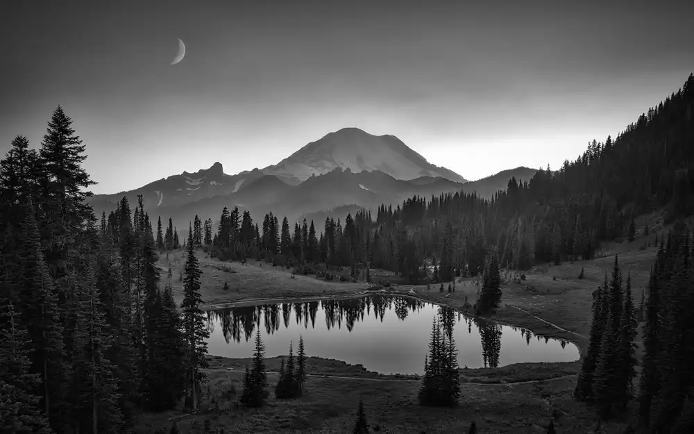 Zheng, Michael: Mt. Rainier