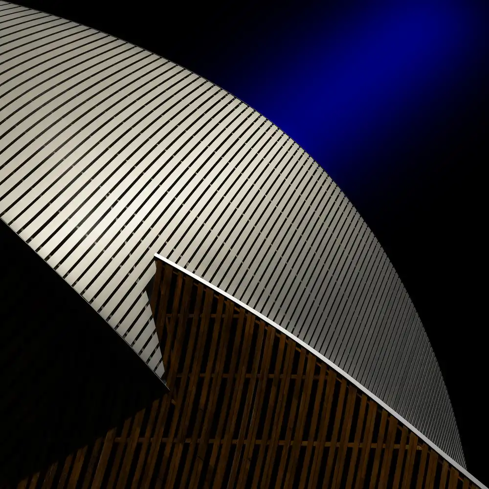 Huybrighs, Marc: Curva