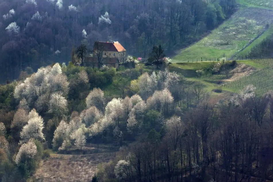 Kravanja, Jure: Adoro aprile