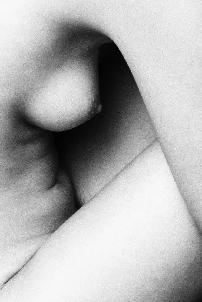 McCracken, David: Forme