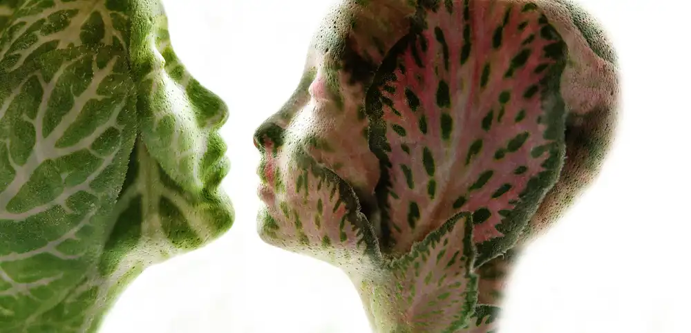 Westum, Heidi: Amoureux de la nature