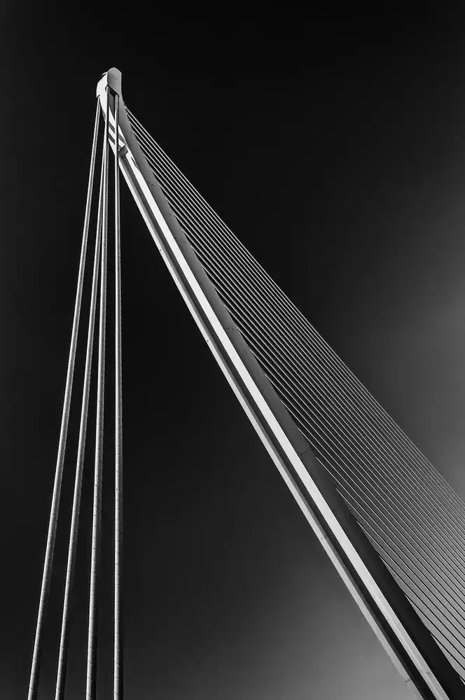 Patrascoiu, Valentina Monica: Lignes