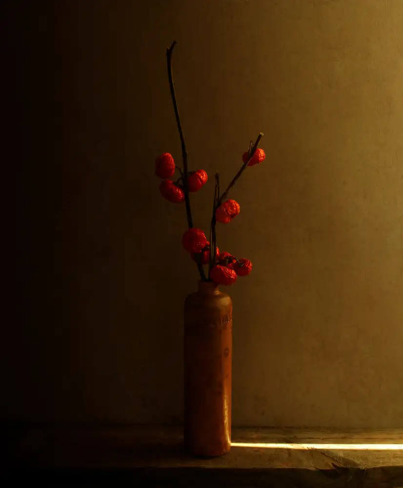 Halaby, Margaret: Sin nombre