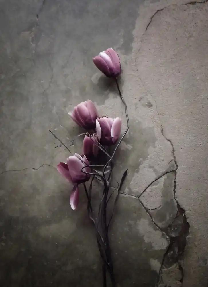 Lagaa, Kahar: The Tulip