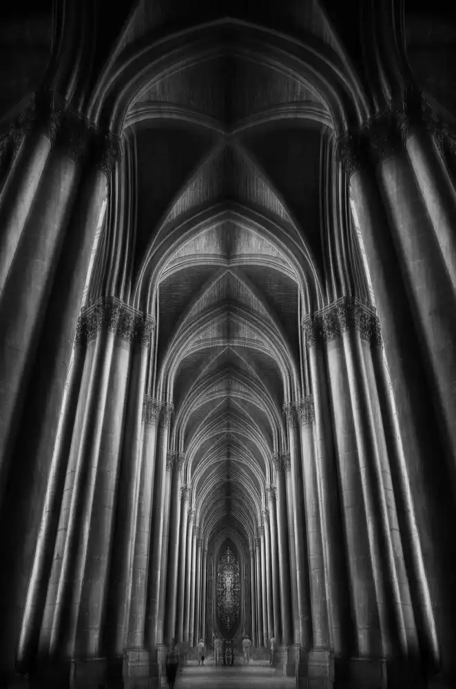 Mazouz, Oussama: Cattedrale di Notre Dame