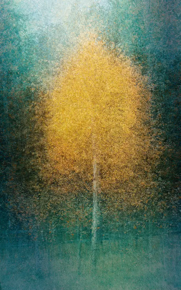 Holmström, Katarina: Giovane nel cuore
