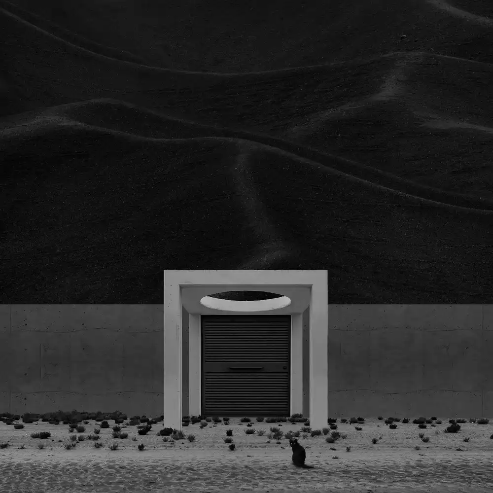 Rouhi, Mehdi: Sin nombre