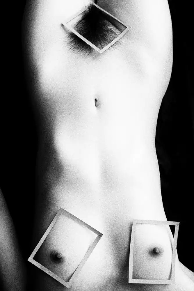 McCracken, David: Polaroid