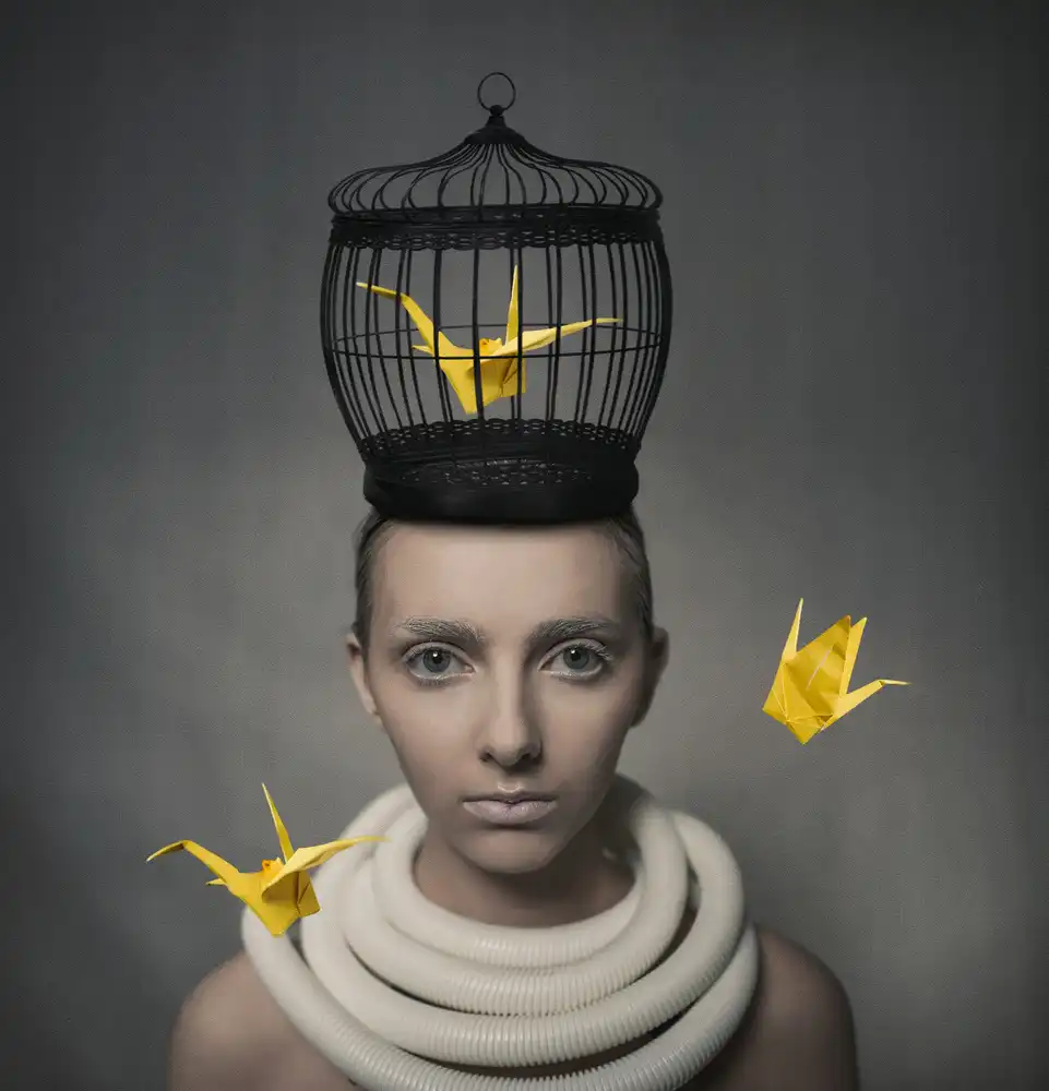 hardibudi: A Poem of Yellow Cranes