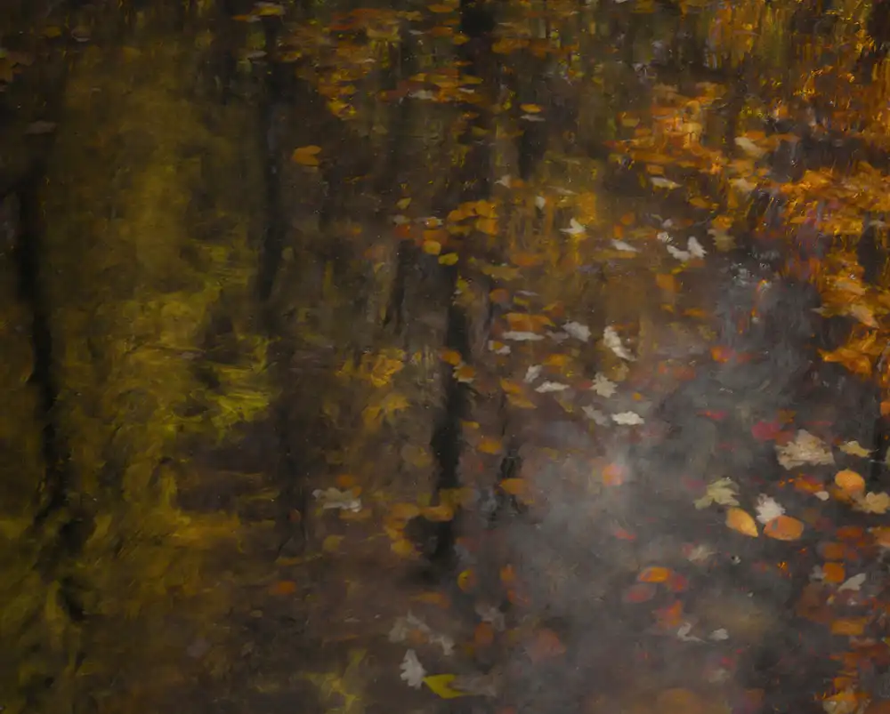 Talen, Nel: Impressione autunnale