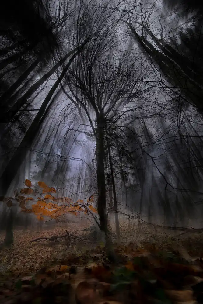 Malovrh, Milan: addio dall'autunno