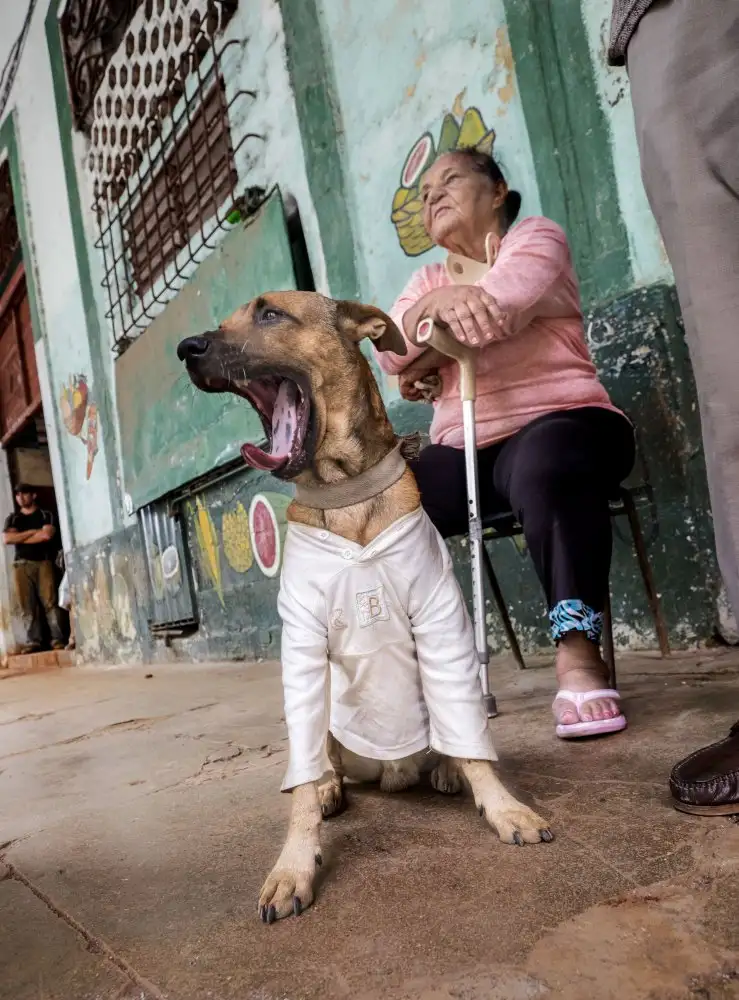 Naor, Orna: Cuba