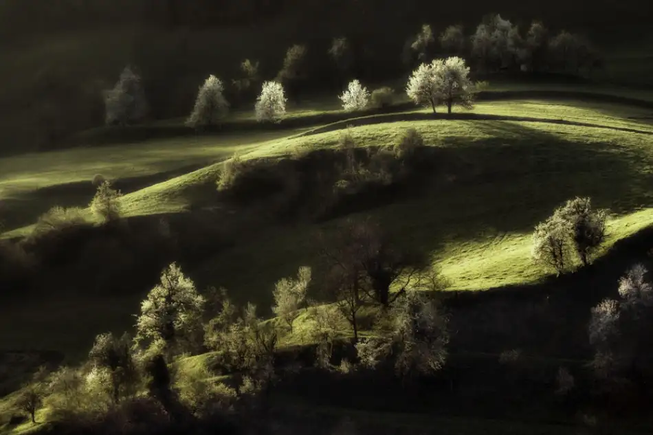 Kravanja, Jure: Touch of light