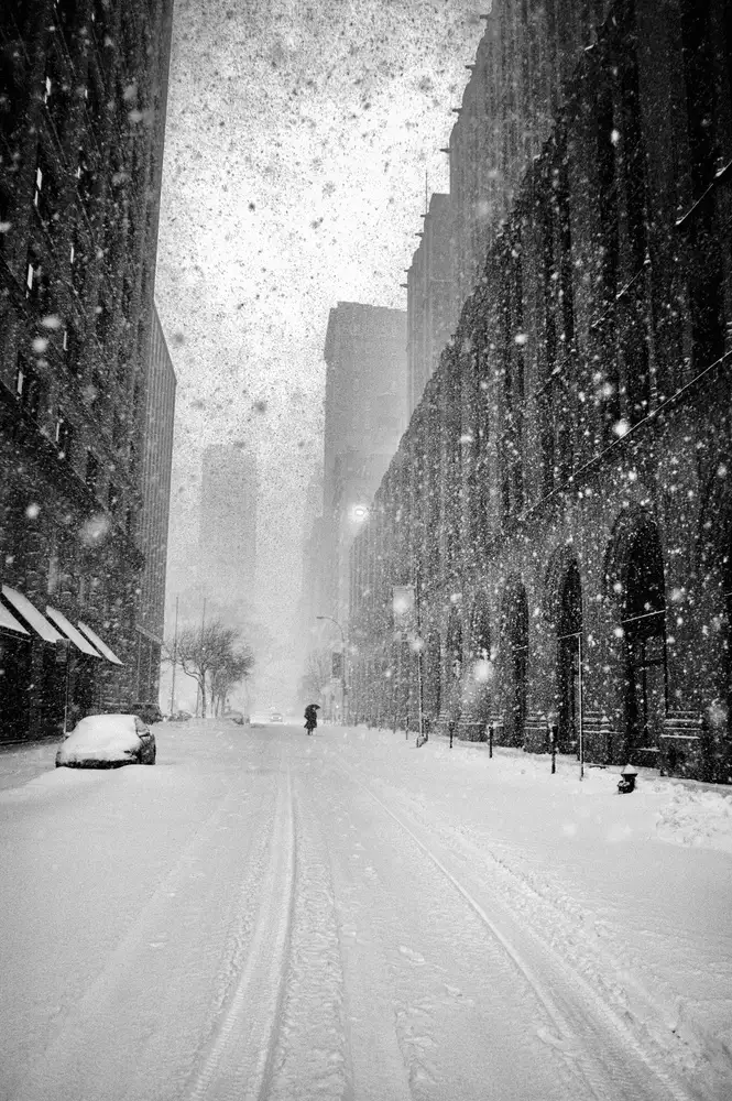 Froyda, Martin: New York Walker v Blizzardu