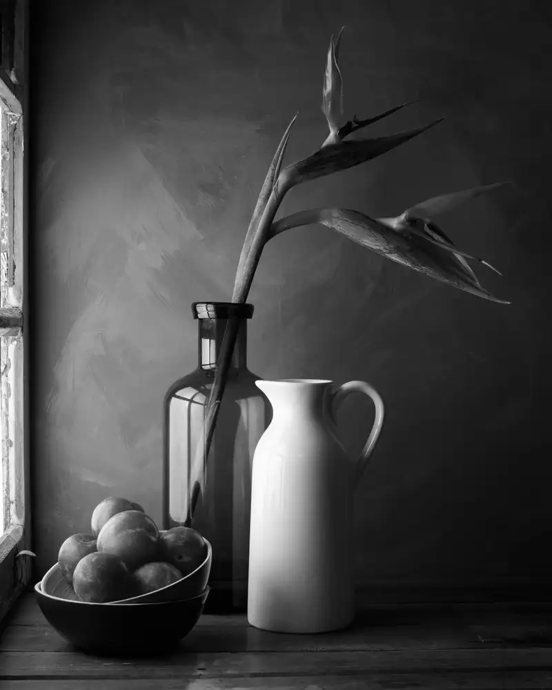 Laercio, Luiz: Prunes