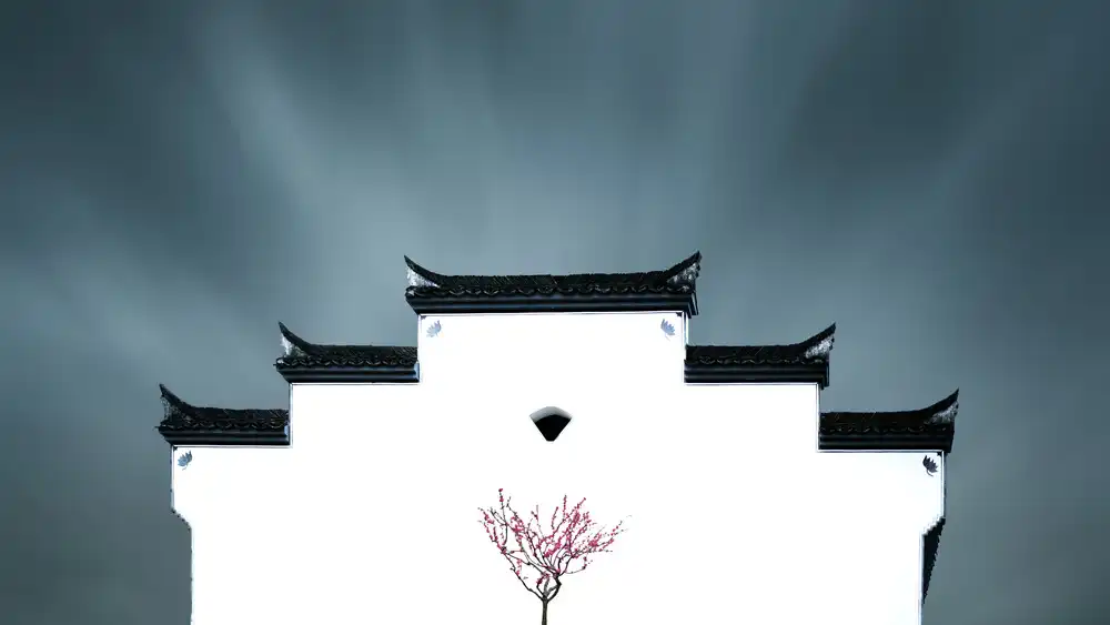 Z, Bingo: Le printemps en Chine