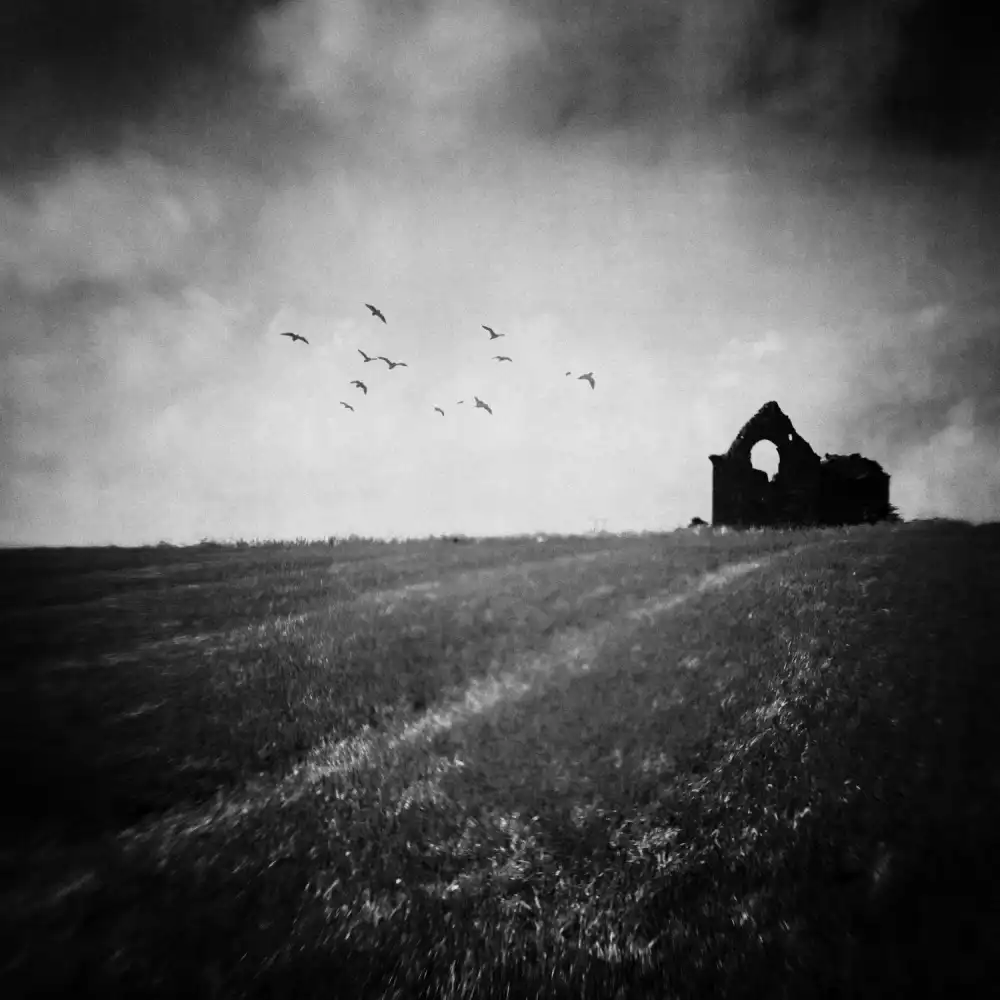 Rodgers, Ursula: Resti