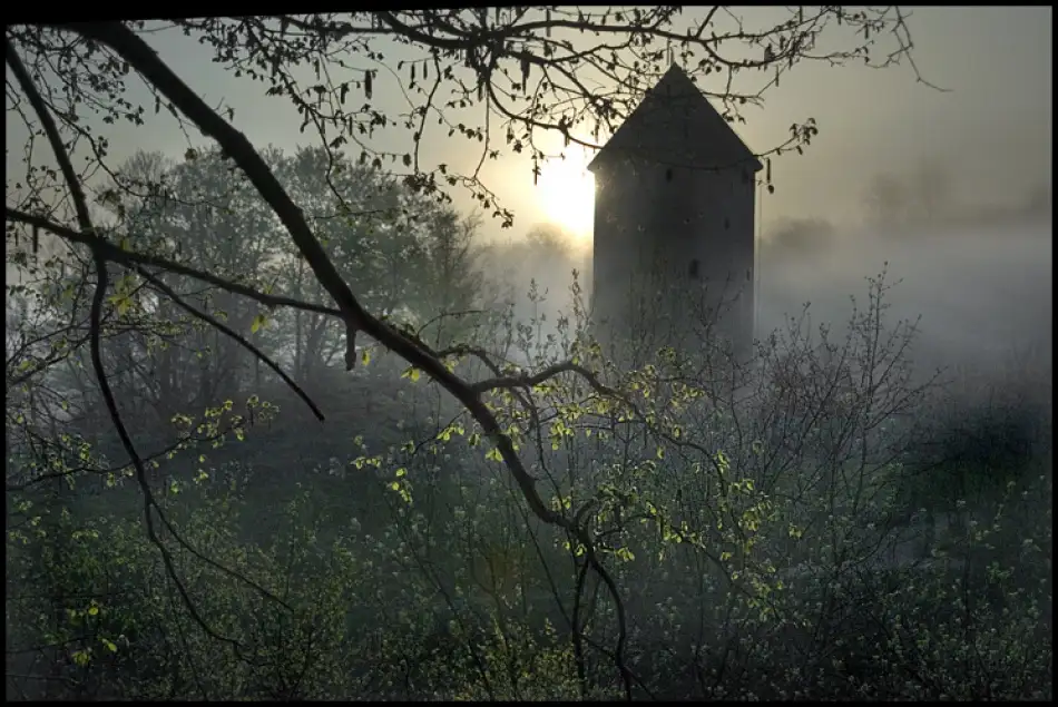 Malovrh, Milan: Wacht Tawer