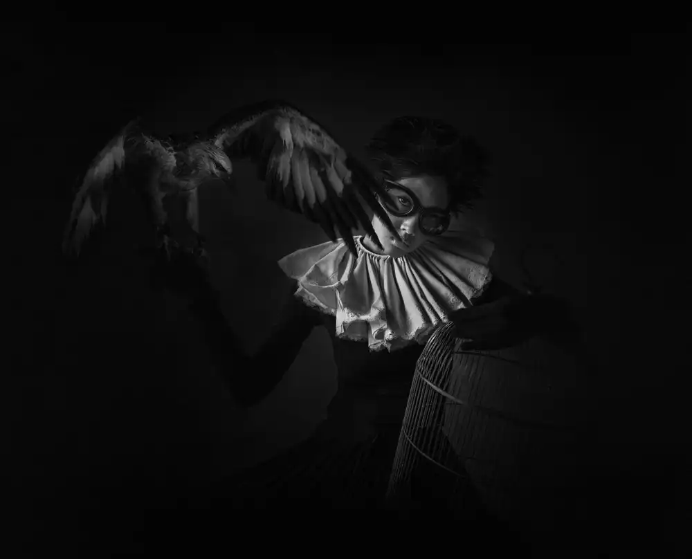 hardibudi: Sotto le tue ali