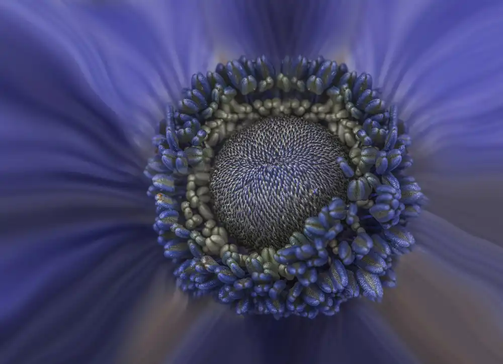 Coenders, Chris: No name
