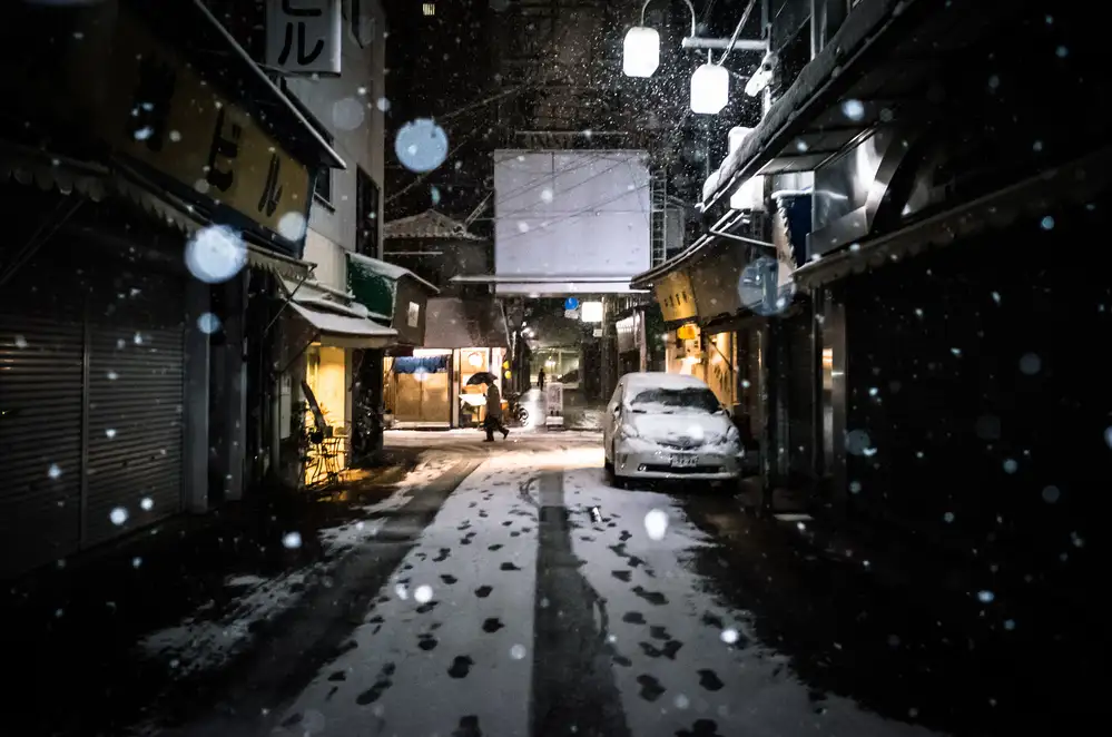 Hashimoto, Tetsuya: Zasněžené město