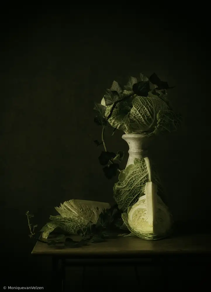 Velzen, van Monique: Nature morte Chou frisé