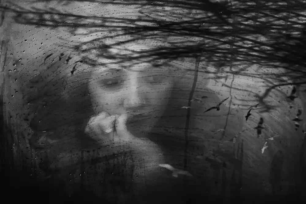 Kandilcioglu, Nisan Ummu: aves