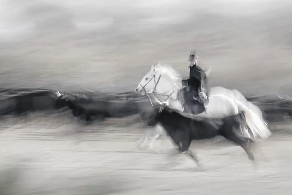 Benezech, Martine: Children of the Wind and the Salt