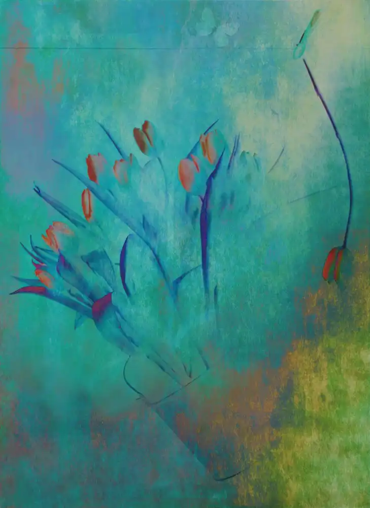 Devos, Delphine: Tulipani (2)