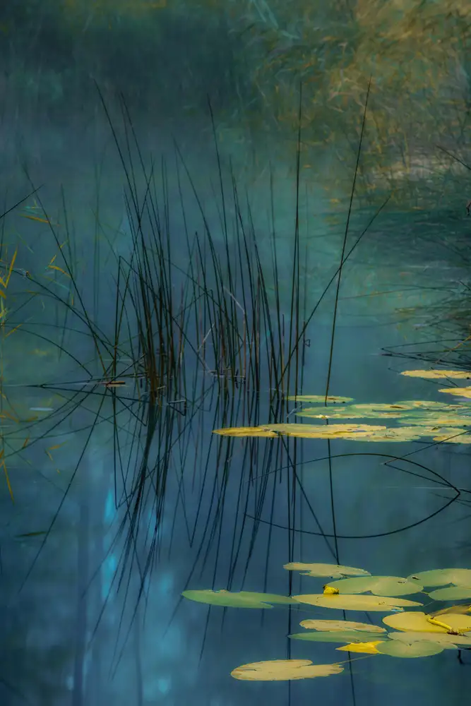 Agazzi, Andreas: Aqua