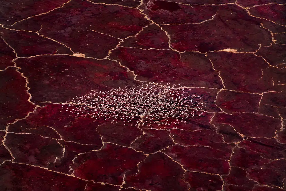 Fan, John: pianeta rosso