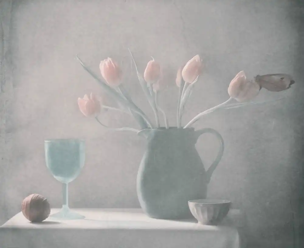 Devos, Delphine: Tulipes et papillons