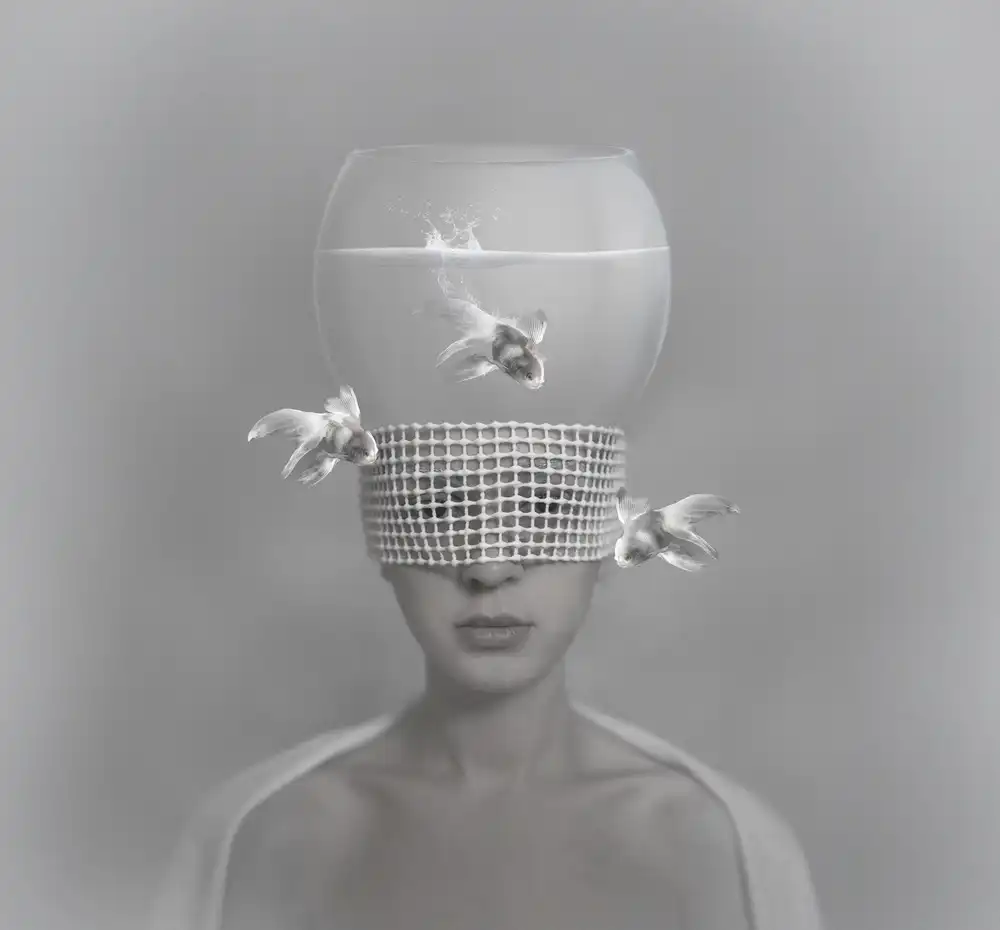 hardibudi: HeadQuarium