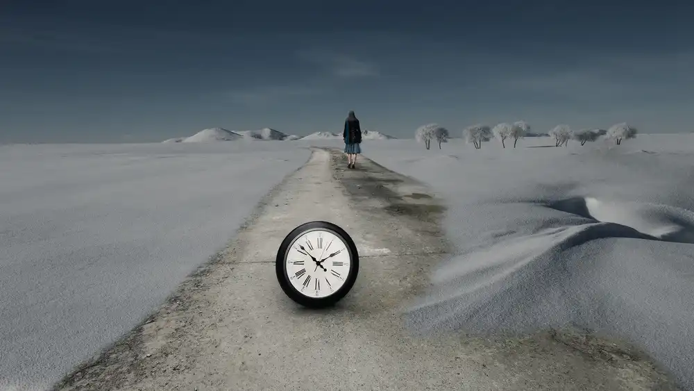 Z, Bingo: La route