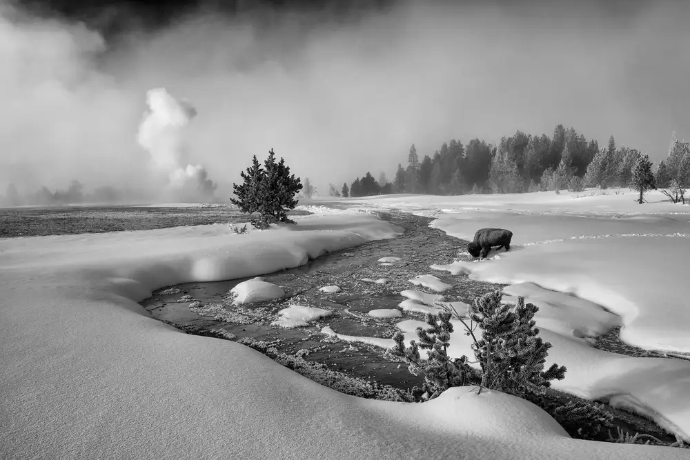 Dou, Shenshen: Les rigueurs de l'hiver