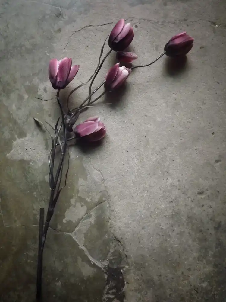 Lagaa, Kahar: The elegant tulip