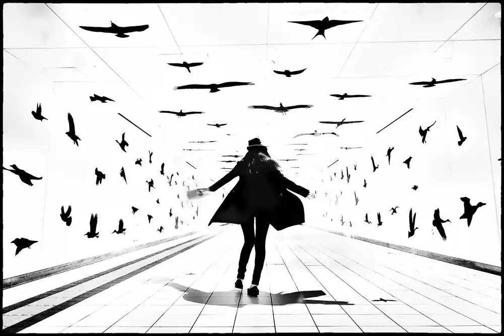 Sakamoto, Haruyo: S ptáky