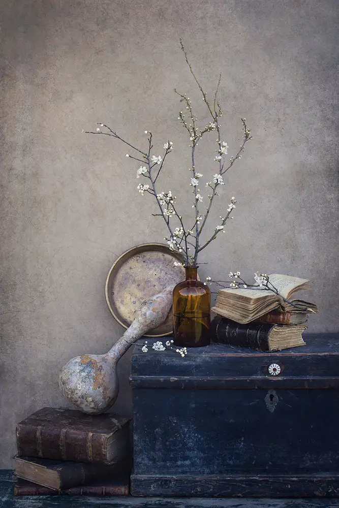 Dim, - Dimitar: Quasi primavera...