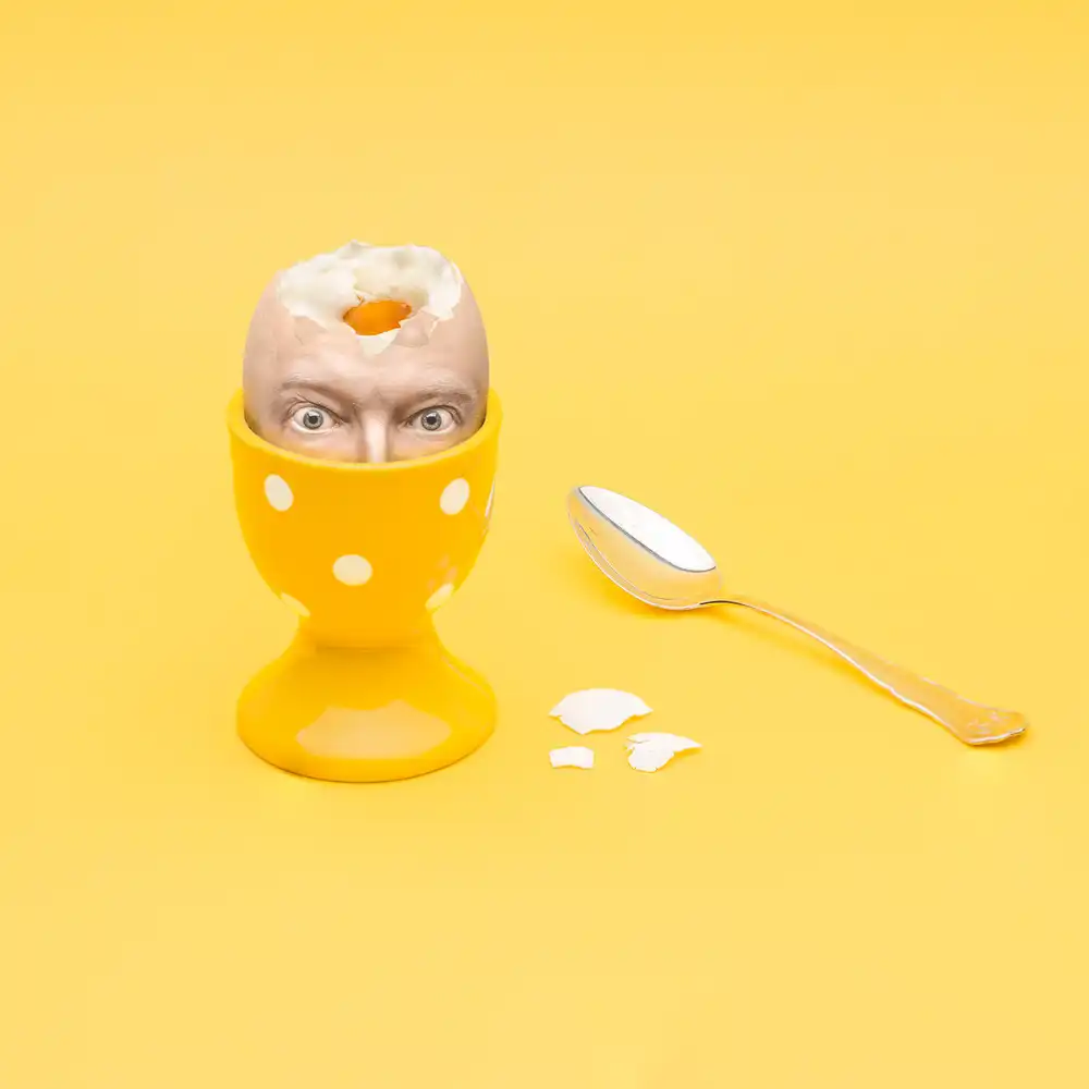 Damstén, Petri: Egghead