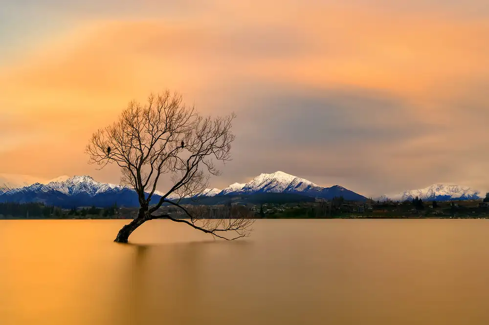 Zhu, Hua: Morning glow of the Lake Wanaka