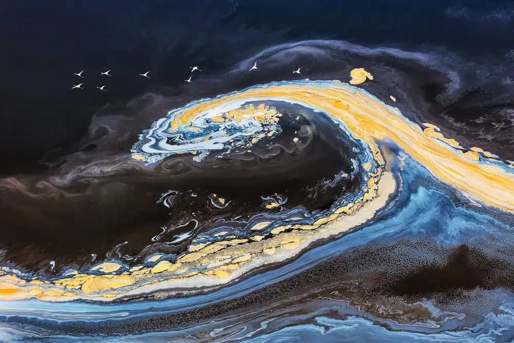 Zuo, Jun: Bunte „Welle“