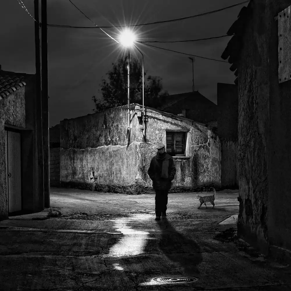 Lobato, C. Jose: Solitude