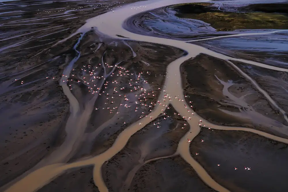 Liu, Ren Raymond: Volando sopra il lago Magadi -1
