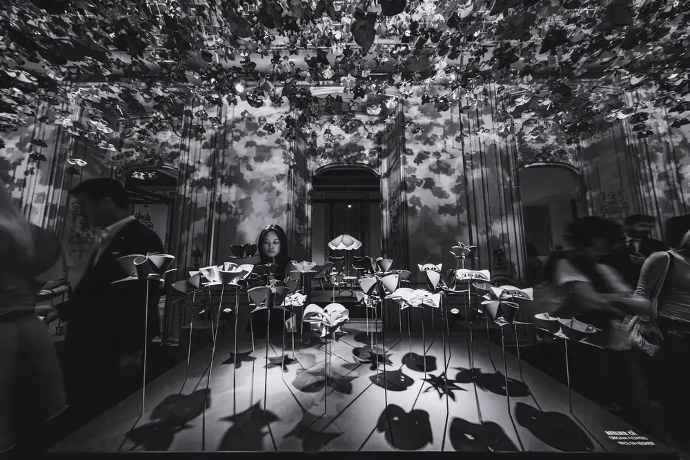 Tagliarino, Marco: The beauty of Flowers