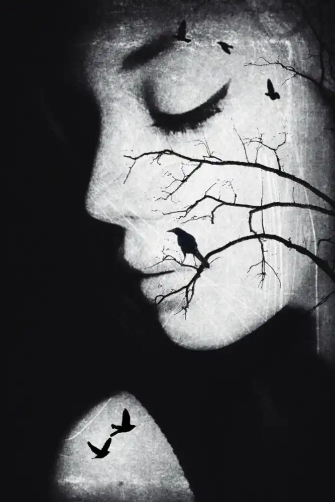 Artography, Byka: pajarito
