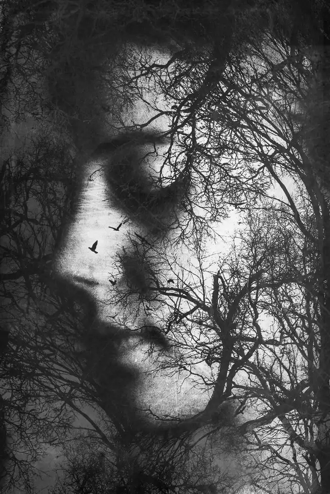 Artography, Byka: Pensamientos del bosque