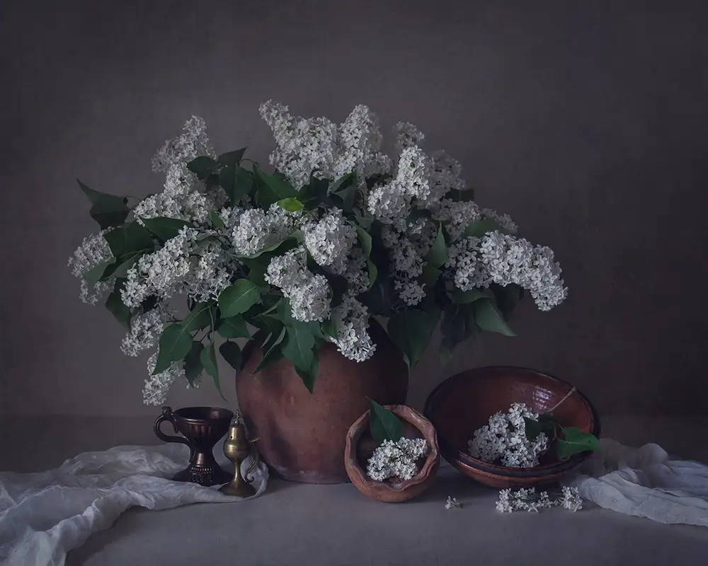 Dim, - Dimitar: Natura morta con lilla bianco