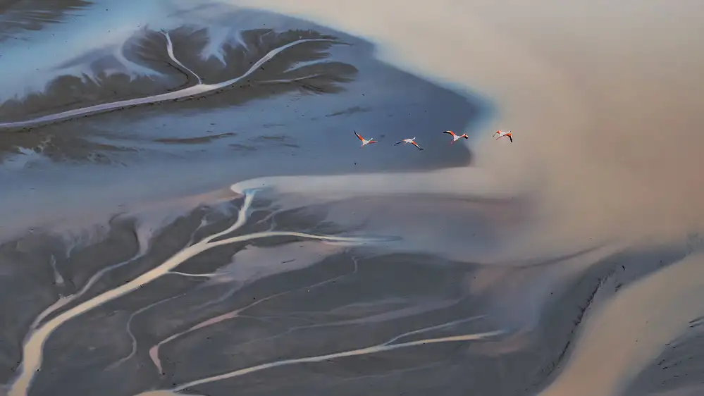 Liu, Ren Raymond: Volando sopra il lago Magadi - 2