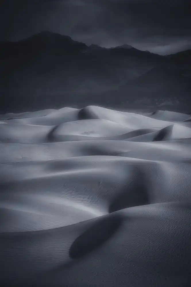 Zheng, Michael: Dunes de sable